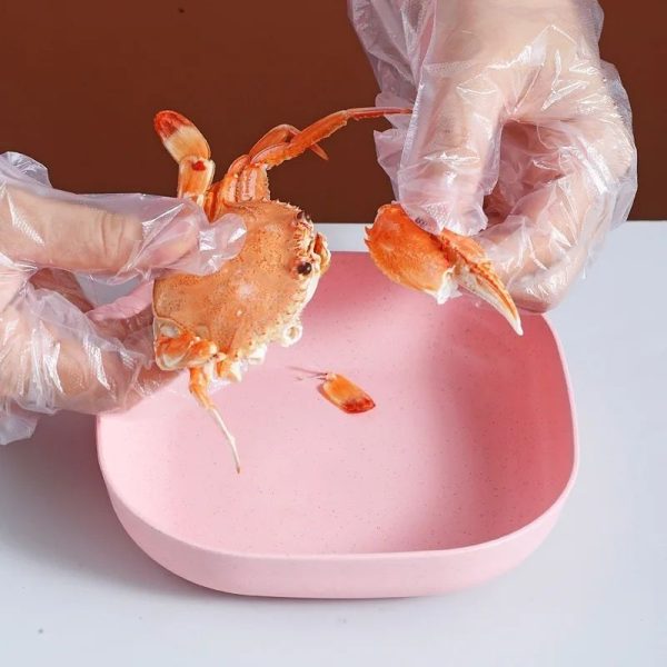 10-Piece Multi-Function Plastic Plate Set with Stand – Elliptical Design for Everyday Use